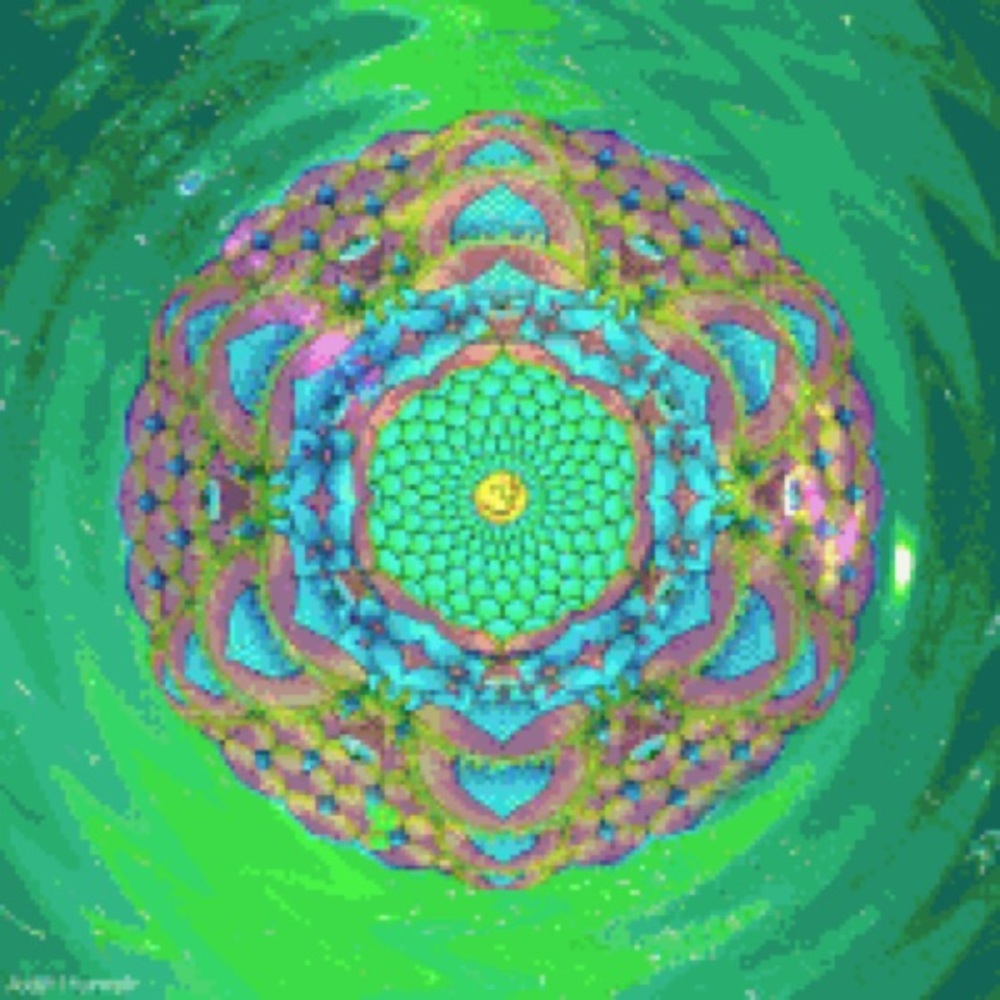 Meet your Posher, Kelley